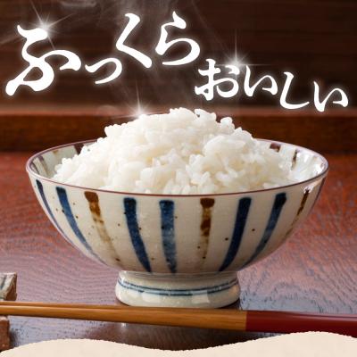 ふるさと納税 妙高市 新潟県妙高産コシヒカリ2kg【順次発送】 |  | 02