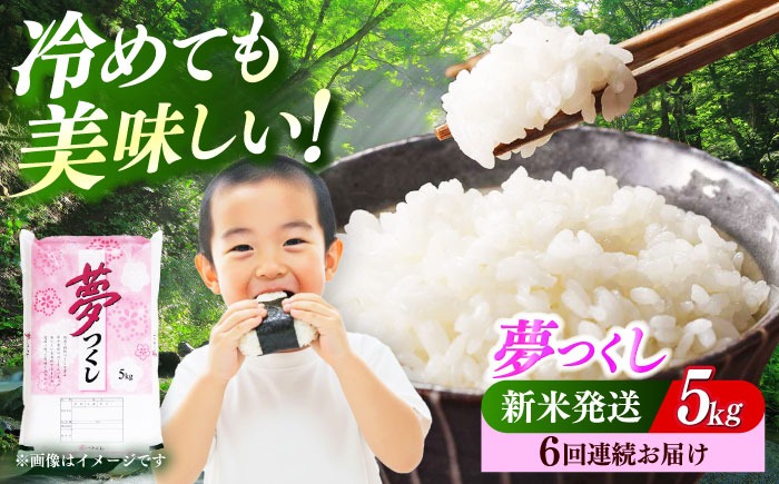 【全6回定期便】 【令和7年度産 新米！】福岡県産米 夢つくし 5kg 精米《築上町》【有限会社ファインリョーコク】[ABCO023]
