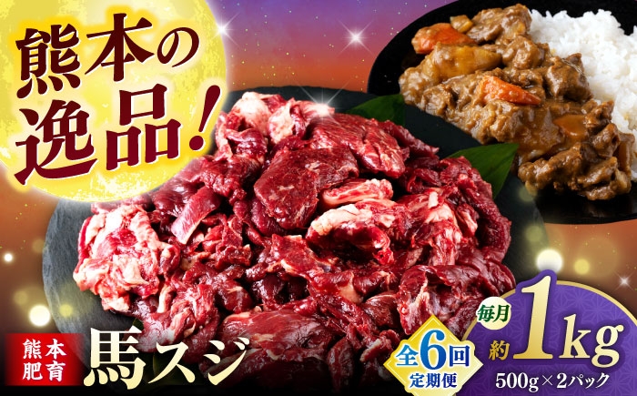 
            【全6回定期便】馬スジ 1kg (　500g × ２ ) 【合同会社　長岡フーズ】 [ZFR027]
          