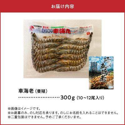 ふるさと納税 南九州市 活き〆冷凍車海老LLサイズ |  | 03