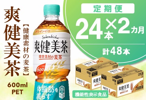 【2カ月定期便】爽健美茶 健康素材の麦茶 600mlPET×24本(合計2ケース)【機能性表示食品】【コカコーラ ローズヒップ 定期便 健康 おいしい 飲料 ポリフェノール】 A9-A047315