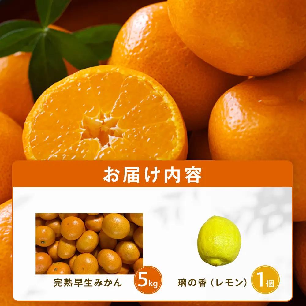【先行予約】完熟早生みかん５ｋｇと璃の香（レモン）１個【2026年12月下旬以降発送】| 湯河原町 みかん レモン 果物セット フルーツ ギフト 果物