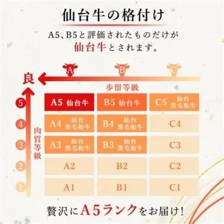 【A5仙台牛】サーロインステーキ 540g(270g×2枚)【配送不可地域：離島】【1206291】