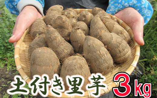 
            【2025年10月上旬から発送開始予定】 土付き 里芋 約3kg  ＜福祉事業所 ポパイの家＞  ／ さといも 里いも サトイモ 土付 野菜 旬 新鮮 期間限定 季節限定 根菜類 根菜 煮物 芋煮 コロッケ 味噌汁 みそ汁 おでん  産地直送 岩手県産 八幡平市産 おすすめ オススメ
          