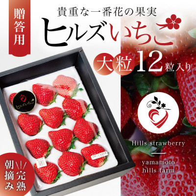 
＜贈答用黒箱入り＞完熟朝摘み『ヒルズいちご』35g以上のBIGサイズ(大粒12粒入り)生産者直送便【1497628】
