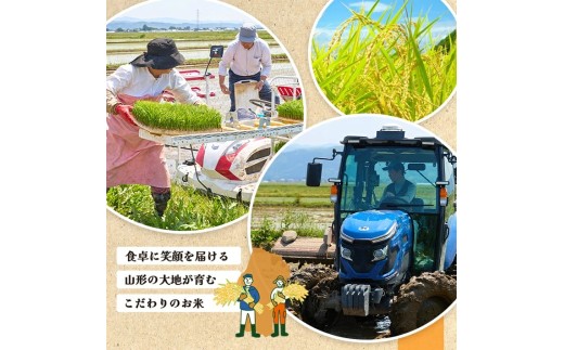 遊佐町産ひとめぼれ5kg（令和８年産米）11月中旬