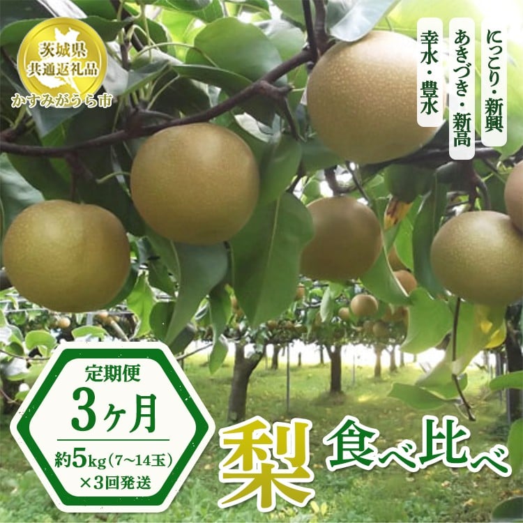 
            【先行予約限定】 【定期便3ヶ月】茨城県産 梨【食べ比べ3種定期便】約5kg×3回発送 【茨城県共通返礼品　かすみがうら市産】※2025年8月下旬～11月下旬頃に順次発送予定 ※離島への配送不可
          
