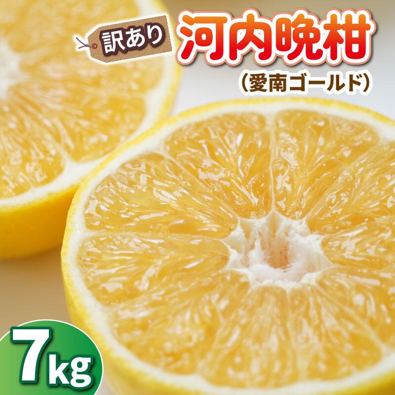 【ふるさと納税】先行予約 訳あり 河内晩柑 7kg みかん 蜜柑 グレープフルーツ 愛南ゴールド 文旦 ポンカン デコポン 不知火 果物 くだもの 果実 柑橘 フルーツ 果汁 ゼリー ジュース 甘い ジューシー ビタミン 美容 健康 国産 産直 ひなたのみかん 愛媛県 愛南町