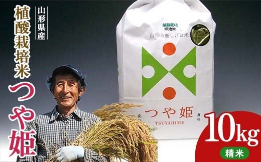 
            植酸栽培米つや姫（精米）10kg F2Y-4410
          