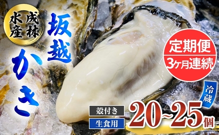 定期便 牡蠣 生食用 坂越かき 殻付き 20～25個《3ヶ月連続お届け》 成林水産 [ 生牡蠣 真牡蠣 かき カキ 冬牡蠣 ]