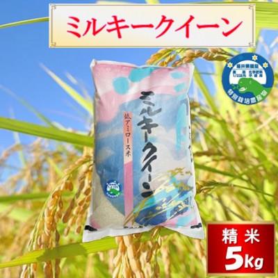 ふるさと納税 越前市 【先行受付】令和8年産 特別栽培 越前市産ミルキークイーン　5kg