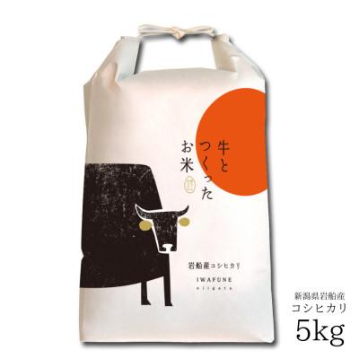 ふるさと納税 村上市 新米【令和7年産米】牛とつくったお米　 新潟県岩船産コシヒカリ　精米5kg　1041001
