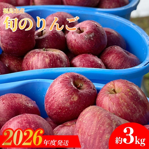 No.0145 あづま果樹園 りんご 約3kg 【2026年度発送】