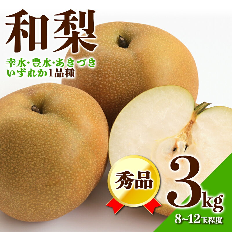 【ふるさと納税】【先行予約 2025年度発送】☆フルーツ王国山形☆和梨3kg秀品 なし ナシ 梨 デザート フルーツ 果物 くだもの 果実 食品 山形県 FSY-0371