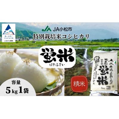 ふるさと納税 小松市 【令和7年産】 コシヒカリ 精米 蛍米 5kg 石川県 小松市 JA小松市