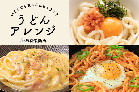 B-603【創業90年の匠の技】県産うどん(生めん)220g×23袋【合計5.06kg】スープ付 うどん好き集まれ イベントやお裾分けにもおすすめ