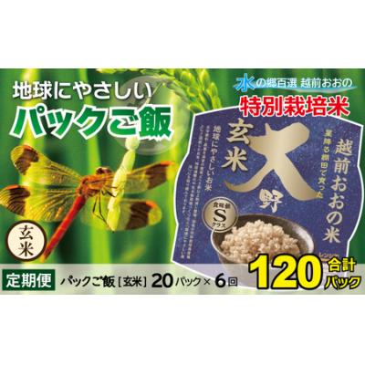 ふるさと納税 大野市 【6ヶ月定期便】地球にやさしいパックご飯 20食入り【玄米】× 6回　計120食
