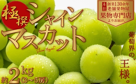 【2026年８月中旬より順次発送】極撰 シャインマスカット　約2kg（3～5房） 果物 ぶどう フルーツ デザート 食後 国産 日本産 産地直送 ジューシー 種なし 観音寺産 