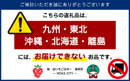 真岡市産 赤い宝石「とちあいか」・白い奇跡「ミルキーベリー」セット 600g | 紅白 赤 白 苺 strawberry ストロベリー おいしい 甘い ジューシー 贈答用 プレゼント ご褒美 スイーツ