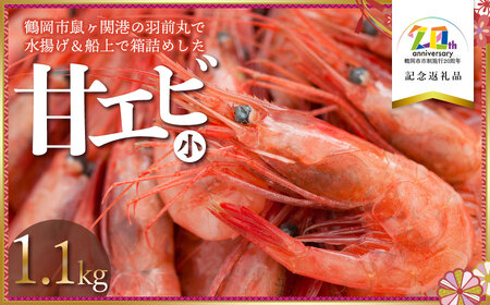 鶴岡市鼠ヶ関港水揚げ　船上箱詰め甘エビ(小) 1.1kg　【市制施行20周年記念返礼品】　羽前丸水産