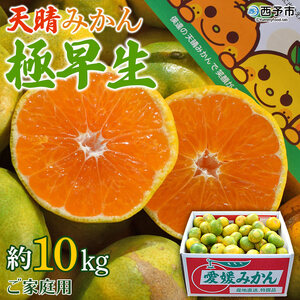 ＜天晴みかん 極早生 家庭用 約10kg＞ 温州 柑橘 果物 くだもの フルーツ ミカン 蜜柑 訳あり ワケアリ 自宅用 期間限定 季節限定 食べて応援 特産品 産地直送 ニコマル 株式会社笑丸 愛媛県 西予市【常温】『2025年9月下旬～10月中旬迄に順次出荷予定』AAN0025