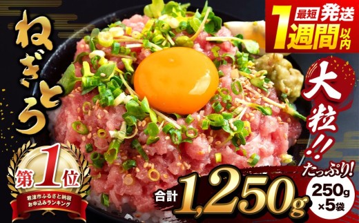 清幸丸水産 大人気！ねぎとろ1250g（250g×5袋） 最短7日以内発送