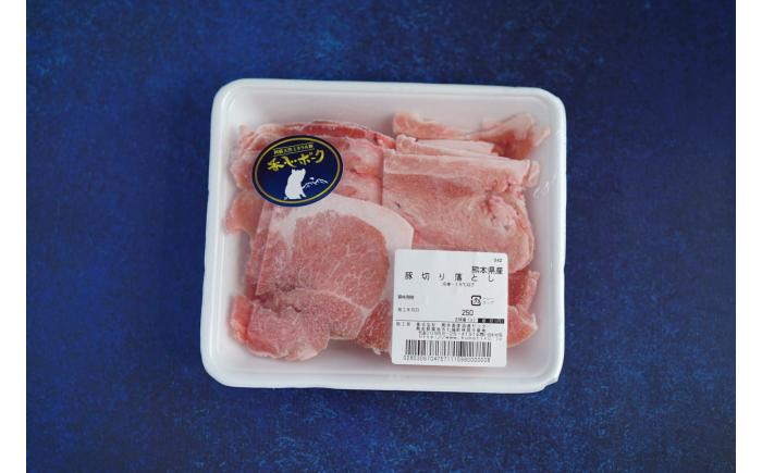 
            『香心ポーク』切り落とし 約250g×12パック（計約3kg）豚肉 冷凍 熊本県産 【有限会社 コーシン】 [AYCK019]
          