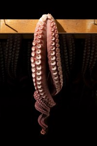 煮たこ足(約1kg×2本)　煮たこ 足 約1kg × 2本 新鮮 大たこ 海産物 海鮮 魚介類 魚貝類 ボイル 独自製法 冷凍 引き締まった やわらかい 刺身 カルパッチョ 唐揚げ 酢の物 たこ焼き 