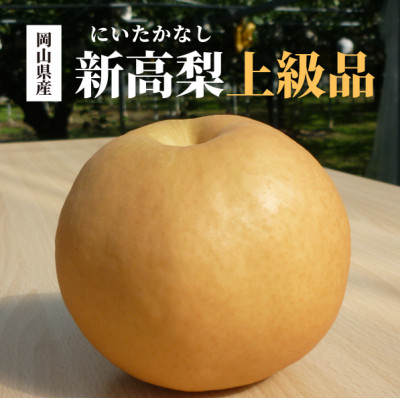 岡山県産　梨の王様【新高梨】柔らかい果肉でしっかり甘くてみずみずしい! 上級品 3-6玉入【1383517】