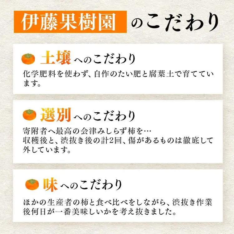23-D 柿 会津みしらず柿 2Lサイズ 16個入り 約3kg ※2026年11月～発送
