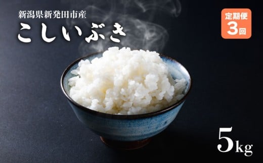 【定期便】 令和7年産 新潟県産こしいぶき 5㎏×3か月 新潟県 新潟産 新潟米 新発田産 新発田 お米 米 こしいぶき とんとん市場 せいだ 5kg 15kg 3か月 定期便 数量限定 玄米 とんとん市場のお米 D58_04