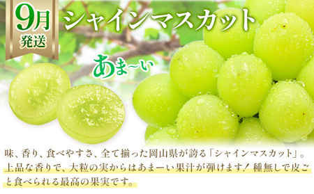 【3か月定期】岡山の果物 3種食べ比べ 計4.1kg【配送不可地域あり】桃 ﾏｽｶｯﾄ