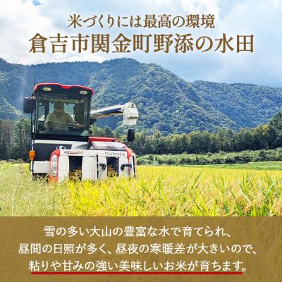 ふるさと納税 倉吉市 【新米】【在庫限定】令和7年産米 原田さんのきぬむすめ 10kg (原田農園)数量限定 30G009 |  | 02
