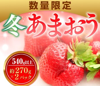 数量限定 冬あまおう２パック 540ｇ以上（270g以上×2）農家直送 アフター保証 イチゴ 苺 いちご 福岡 博多あまおう フルーツ 2024年12月より順次発送 VZ003