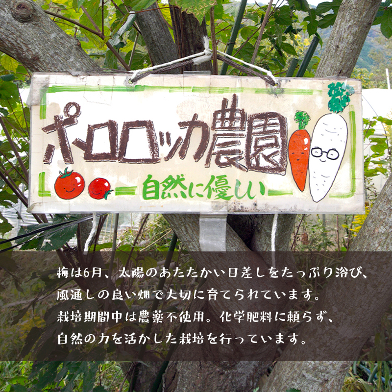無添加 梅干し 減塩 小分け 1kg 1キロ 舞鶴産 うめぼし お取り寄せ 漬物 南高梅 昔ながら 田舎