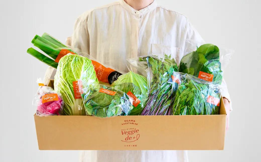ベジプラ特選 旬の野菜セット 定期便：12回 毎月お届け Veggie de＋