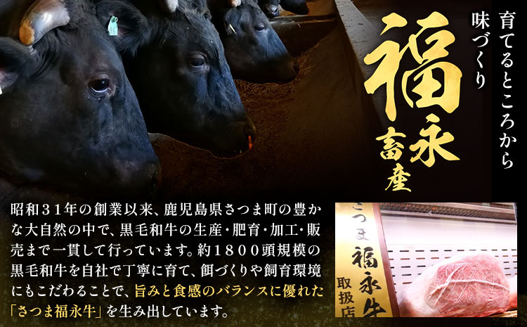 和牛100％！サクッとジューシー さつま福永牛ピンチカツ 35個 福永畜産《30日以内に出荷予定(土日祝除く)》鹿児島県 さつま町 メンチカツ 和牛 さつま福永牛 100％