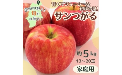 りんご サンつがる 家庭用 約5kg 13～20玉【1647627】