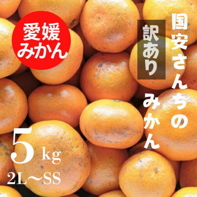 【ふるさと納税】【創業85年 親子4代 愛媛みかん 一筋】訳あり 愛媛みかん 5kg【C20-51】【1595879】