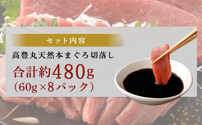 【ふるさと納税】【お刺身ちょこっとパック】 天然本まぐろ 赤身 切落し 480g 60g×8パック お手軽 食べきりサイズ 切り落とし お刺身 魚介類 海鮮 小分け 魚 天然まぐろ 魚貝 マグロ 高知