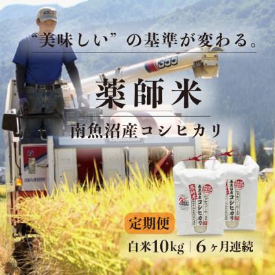 ふるさと納税 南魚沼市 【毎月定期便】【南魚沼市食味コンテスト優秀賞】南魚沼産コシヒカリ 白米10kg(5kg×2袋)全6回