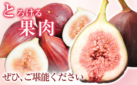 いちじく お試し 約600g