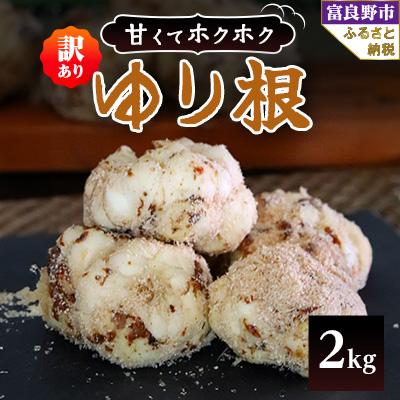 ふるさと納税 富良野市 2025年先行予約【訳あり】北海道富良野産 ゆり根 2kg