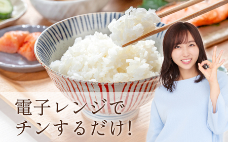 夢つくし パックご飯 大容量 200g × 48個 ふるさと納税 ご飯パック ごはんパック レトルト ご飯 パックごはん パックライス パックご飯 パック ごはん 米 白米 保存食 備蓄 送料無料 ふ