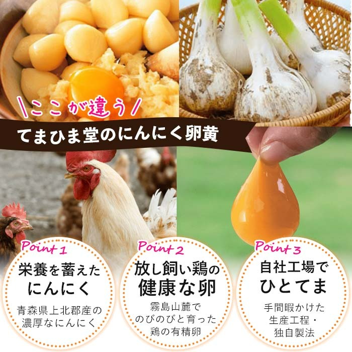 No.1290 てまひま にんにく卵黄(1袋・62粒入り) 鹿児島 日置市 ニンニク 健康食品 栄養 元気 有精卵 カプセル 安全安心 サプリメント 健康 【てまひま堂】