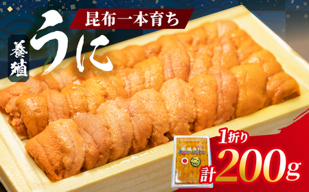 昆布一本育ち!!「浜中町産 養殖うに 折詰入り　200g×一折り」_H0038-003