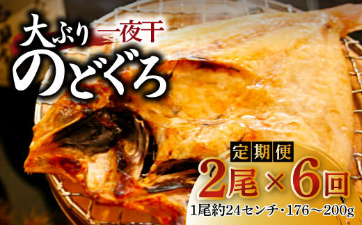 
                  【定期便】島根県沖　大ぶり「のどぐろ一夜干」定期便（6回お届け）【国産 干物 魚介類 無添加 冷凍】
                