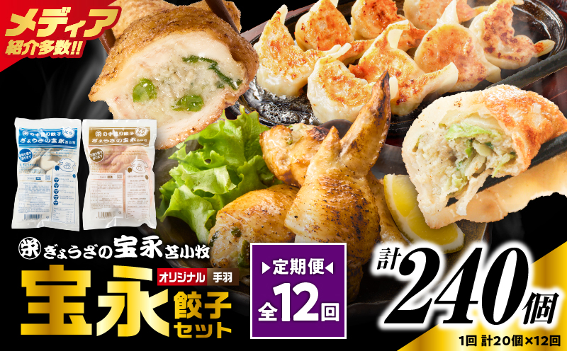【定期便・全12回 毎月】手包み餃子 ぎょうざの宝永 手羽餃子20個セット（宝永餃子15個入×1袋・手羽餃子5個入×1袋）　T004-T06-01-05