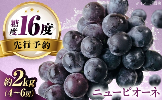 【先行予約】ニューピオーネ 約2kg1箱（4房～6房）/ ニューピオーネ ぶどう ブドウ 葡萄 愛媛県 愛媛 内子町 フルーツ 果物 送料無料 美味しい おすすめ 人気 特産品 四国 国産 ニューピオーネ にゅーぴおーね 種なし 大粒 濃厚 甘い 旬 産地直送 愛媛 内子町 国産 ふるさと納税 お取り寄せ ギフト 四国 お取り寄せ ギフト 【有限会社ふじブドウ園】 [BKCW004]