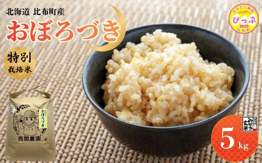 【令和8年産 新米先行受付】 特別栽培米 おぼろづき みがき玄米 5kg【西間農園】玄米 お米 米 北海道産 北海道米 国産 コメ JGAP認証農場 北海道 比布町 ぴっぷ 1005-011